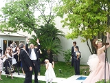 ソレっ