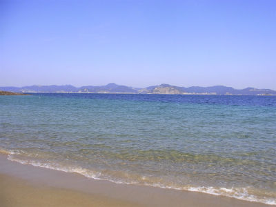 sRIMG4623