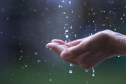 雨
